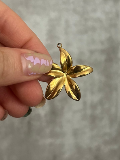 Gold star-shaped pendant held by a hand against a gray background